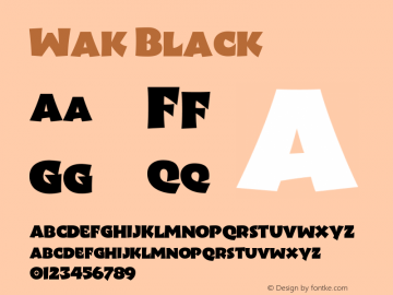 Wak-Black Version 1.0 | wf-rip DC20180605图片样张