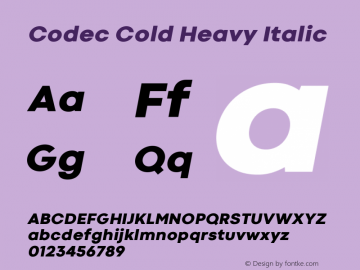 Codec Cold Heavy Italic 1.000图片样张