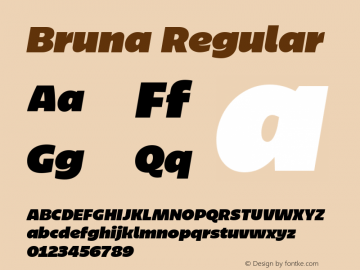 Bruna Heavy Italic Version 1.001图片样张