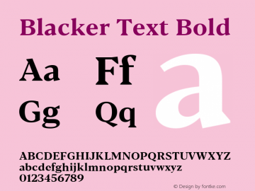 BlackerText-Bold Version 1.0 | w-rip DC20180110图片样张