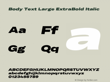 BodyText-LargeExtraBoldItalic Version 1.006图片样张