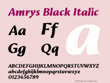 Amrys Black Italic Version 1.00, build 18, g2.5.2.1158, s3图片样张