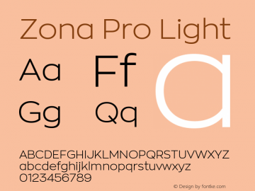 ZonaPro-Light Version 2.001图片样张