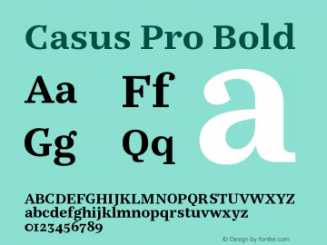 Casus Pro Bold Version 7.504; 2016; Build 1027图片样张