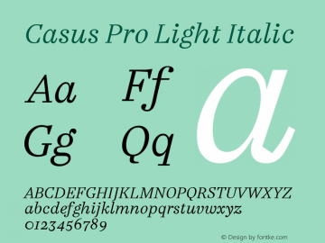 Casus Pro Light Italic Version 7.504; 2016; Build 1027图片样张
