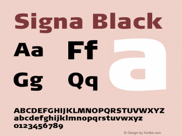 Signa-Black Version 7.504图片样张