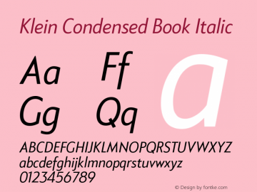 KleinCondensed-BookItalic Version 1.102;hotconv 1.0.109;makeotfexe 2.5.65596图片样张