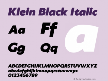 Klein-BlackItalic Version 1.102;hotconv 1.0.109;makeotfexe 2.5.65596图片样张
