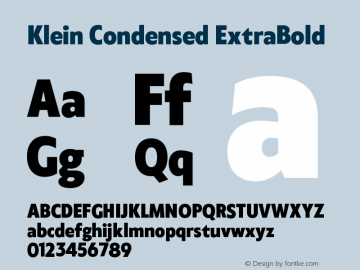 KleinCondensed-ExtraBold Version 1.102;hotconv 1.0.109;makeotfexe 2.5.65596图片样张