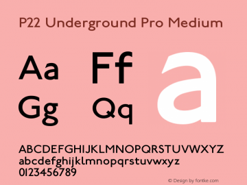 P22UndergroundPro-Medium Version 3.000;com.myfonts.p22.underground-basic.cy-pro-medium.wfkit2.46uj图片样张