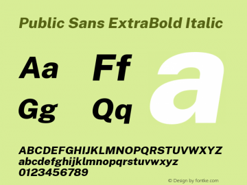 Public Sans ExtraBold Italic Version 1.000;PS 001.000;hotconv 1.0.88;makeotf.lib2.5.64775图片样张