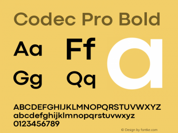 Codec Pro Bold Version 1.000图片样张