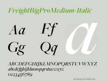 ☞FreightBig Pro Medium Italic Version 3.000;com.myfonts.easy.garagefonts.freight-big-pro.medium-italic.wfkit2.version.3ULp图片样张