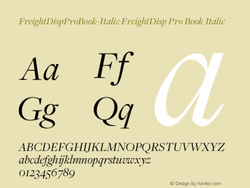 FreightDisp Pro Book Italic Version 3.000图片样张