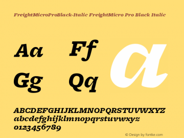 FreightMicro Pro Black Italic Version 3.000图片样张
