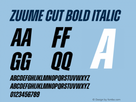 Zuume Cut Bold Italic Version 1.000;hotconv 1.0.109;makeotfexe 2.5.65596图片样张