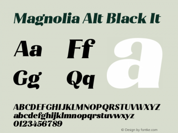 Magnolia Alt Black It Version 1.001;PS 001.001;hotconv 1.0.88;makeotf.lib2.5.64775图片样张