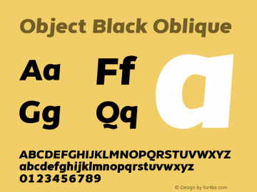 Object-BlackOblique Version 1.002;PS 001.002;hotconv 1.0.88;makeotf.lib2.5.64775图片样张