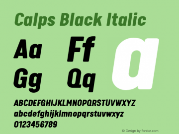 Calps Black Italic Version 1.000图片样张