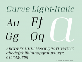 Curve Light-Italic Version 1.001;PS 001.001;hotconv 1.0.88;makeotf.lib2.5.64775图片样张