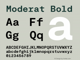 Moderat Mono Bold Version 3.000;PS 003.000;hotconv 1.0.88;makeotf.lib2.5.64775图片样张