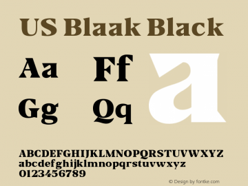 USBlaak-Black Version 1.000图片样张