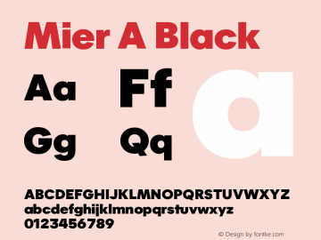 MierA-Black Version 1.001 | wf-rip DC20180715图片样张