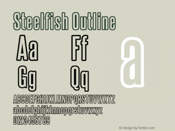 SteelfishOutline-Regular Version 6.000图片样张