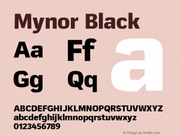 Mynor-Black Version 1.000 January 2019 | wf-rip DC20190220图片样张