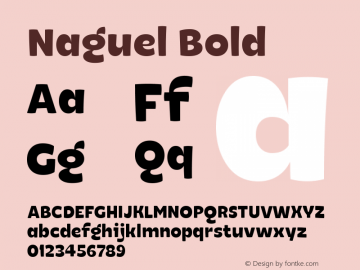 Naguel-Bold Version 1.000;PS 001.000;hotconv 1.0.88;makeotf.lib2.5.64775图片样张