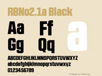 RBNo2.1a-Black 1.000图片样张