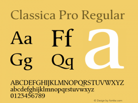 Classica Pro Version 3.00图片样张