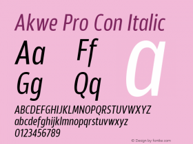 Akwe Pro Con Regular Italic Version 1.000;PS 001.000;hotconv 1.0.88;makeotf.lib2.5.64775图片样张