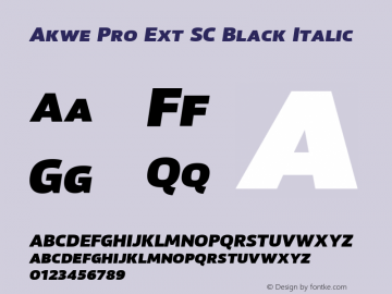 Akwe Pro Ext SC Black Italic Version 1.000;PS 001.000;hotconv 1.0.88;makeotf.lib2.5.64775图片样张