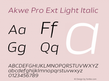 Akwe Pro Ext Light Italic Version 1.000;PS 001.000;hotconv 1.0.88;makeotf.lib2.5.64775图片样张