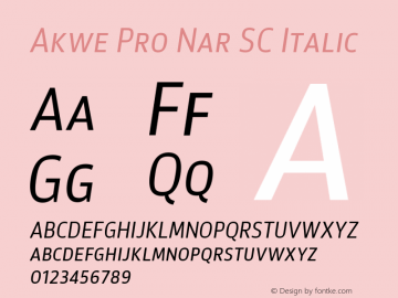 Akwe Pro Nar SC Regular Italic Version 1.000;PS 001.000;hotconv 1.0.88;makeotf.lib2.5.64775图片样张