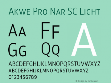 Akwe Pro Nar SC Light Version 1.000;PS 001.000;hotconv 1.0.88;makeotf.lib2.5.64775图片样张