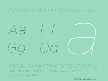 Amfibia-HairlineWideItalic Version 1.000 | wf-rip DC20190310图片样张