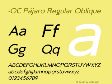 -OC Pajaro Regular Oblique Version 1.000;PS 001.000;hotconv 1.0.88;makeotf.lib2.5.64775图片样张