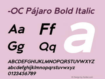 -OC Pajaro Bold Oblique Version 1.000;PS 001.000;hotconv 1.0.88;makeotf.lib2.5.64775图片样张