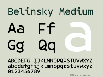 Belinsky-Medium 1.000图片样张