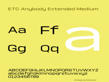 ETCAnybody-ExtendedMedium Version 1.51 | wf-rip DC20181025图片样张