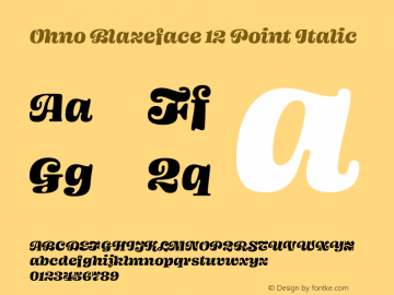 Ohno Blazeface 12 Point Italic Version 1.100;PS 1.000;hotconv 16.6.54;makeotf.lib2.5.65590图片样张