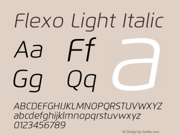 Flexo-LightIt Version 1.07 UltraPrecision Font | wf-rip DC20120225图片样张