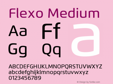 Flexo-Medium Version 1.07 UltraPrecision Font | wf-rip DC20120225图片样张
