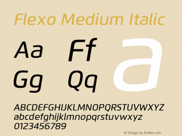 Flexo-MediumIt Version 1.07 UltraPrecision Font | wf-rip DC20120225图片样张