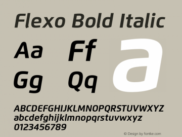 Flexo-BoldIt Version 1.07 UltraPrecision Font | wf-rip DC20120225图片样张