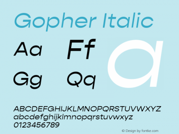 Gopher Italic Version 1.000;PS 001.000;hotconv 1.0.88;makeotf.lib2.5.64775图片样张