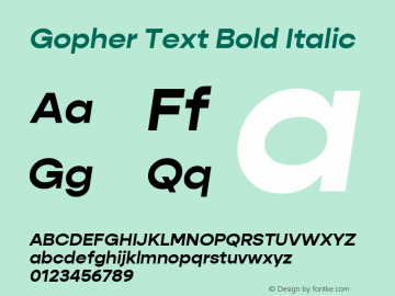 Gopher Text Bold Italic Version 1.000;PS 001.000;hotconv 1.0.88;makeotf.lib2.5.64775图片样张