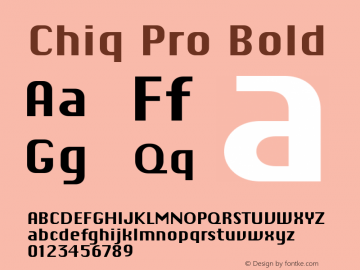 Chiq Pro Bold Version 1.013图片样张